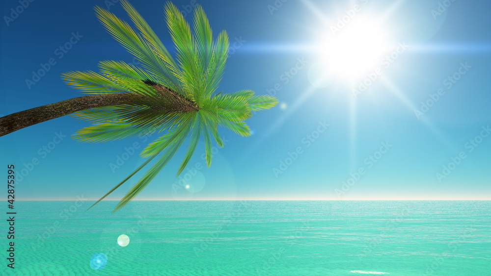 Fototapeta premium 水平線