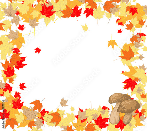 Frame of maple leaves and mushrooms