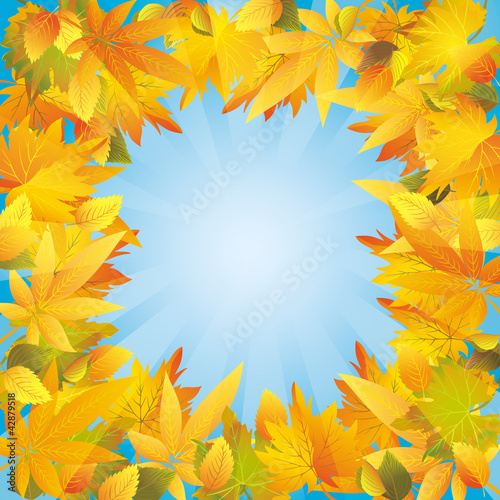 Autumn leaves frame, nature background © silvionka