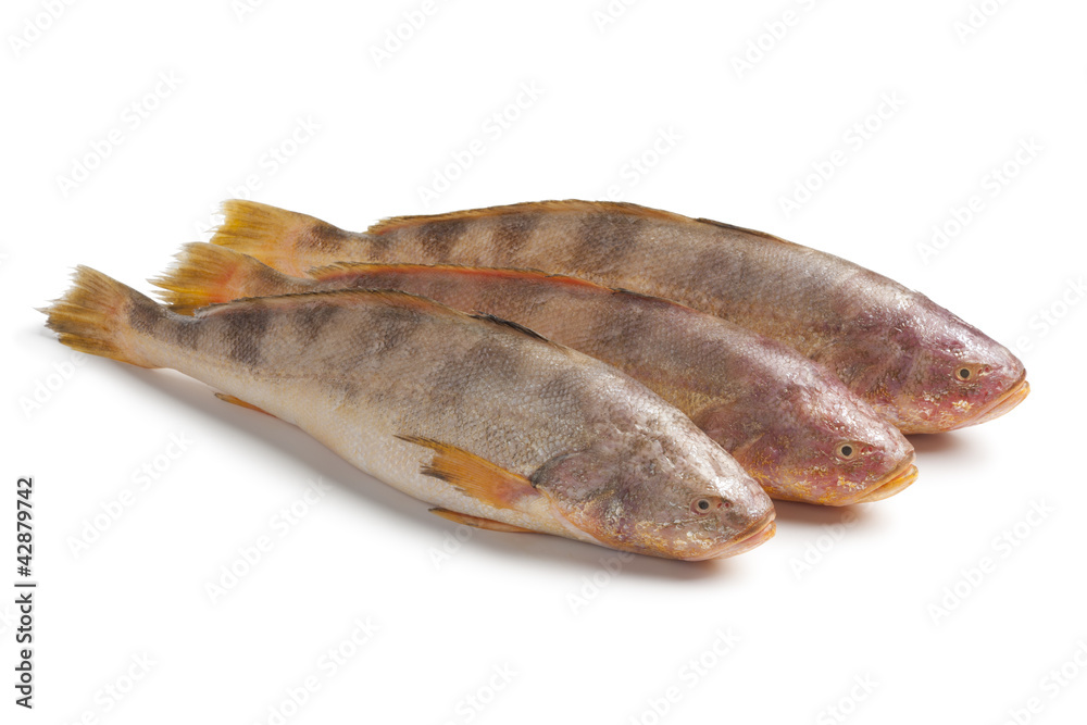 Fresh raw butterfishes Fresh raw butterfishes