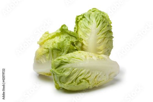 Baby gem lettuce