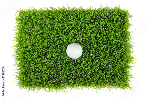 golf ball from above
