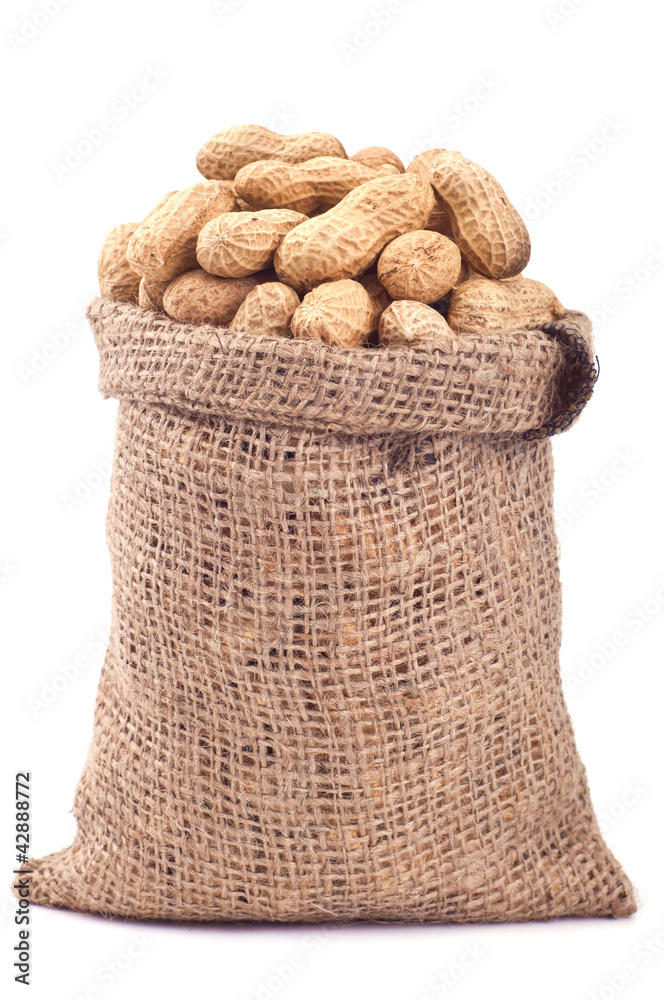 Peanut in a bag