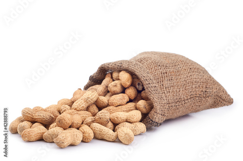 Peanut in a bag