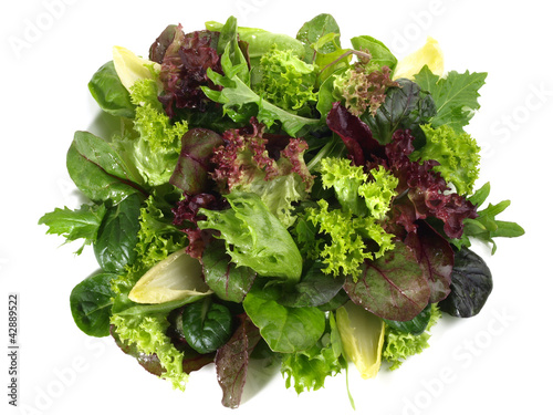 Tableau sur toile Blattsalat Mix