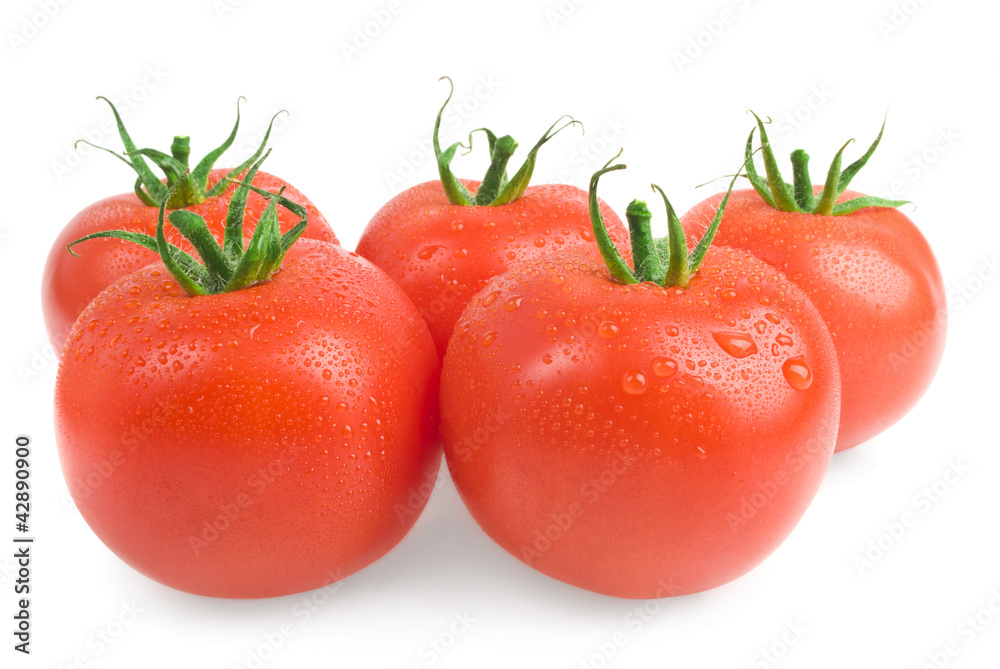 Close-up photo of tomatoes with water drops