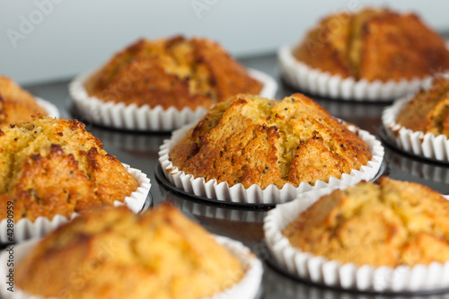 Delicious fresh homemade banana muffins in a baking tray