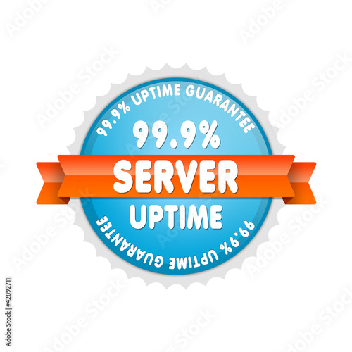 Server 99.9% Uptime