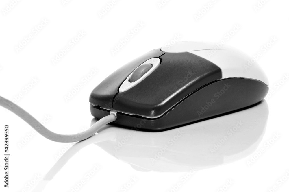 computer mouse computer mouse
