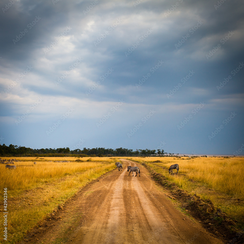 Fototapeta premium Road in field and stormy clouds
