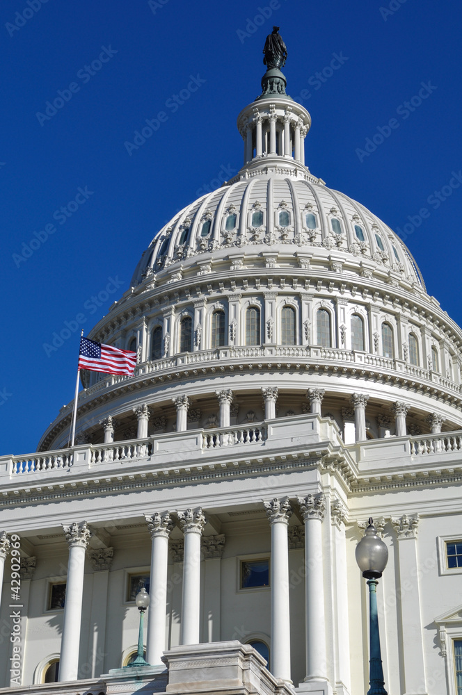 Obraz premium Washington DC Capitol Hill Building