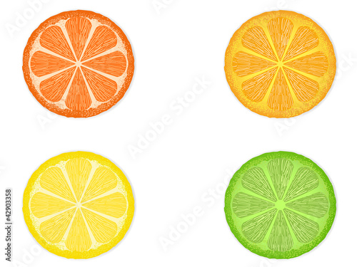 citrus fruit slices