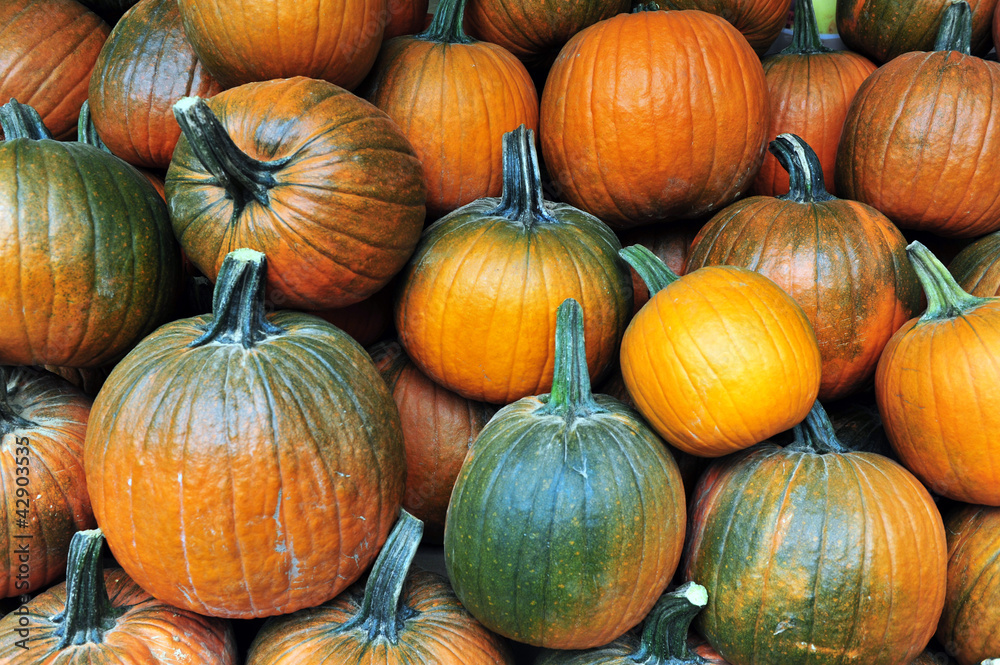 Travel Photos of New York - Manhattan