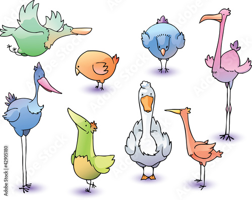 The set of the funny cartoon vector birds.
