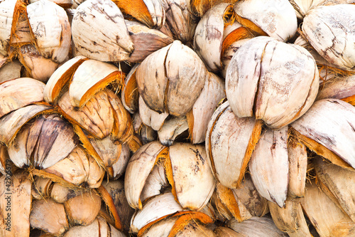 Tableau sur toile Coconut husk background