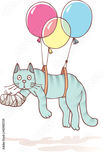 The injured cat.