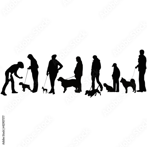 exhibition of dogs animals display a vector