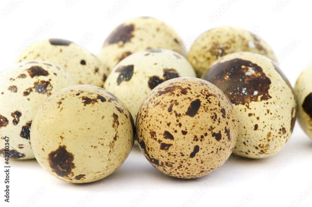 Obraz premium Quail eggs