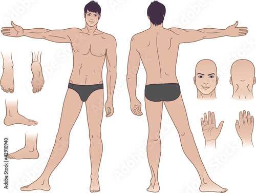 Full length (front & back) views of a standing naked man