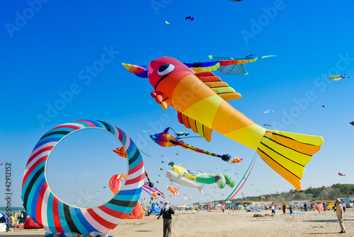 kite in the blue sky photo