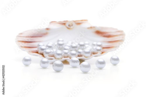 Perlen in einer Muschel