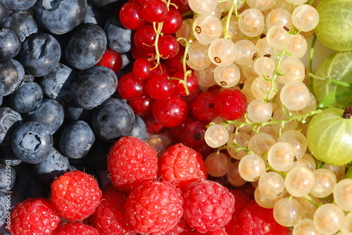 Variety of organically grown berries
