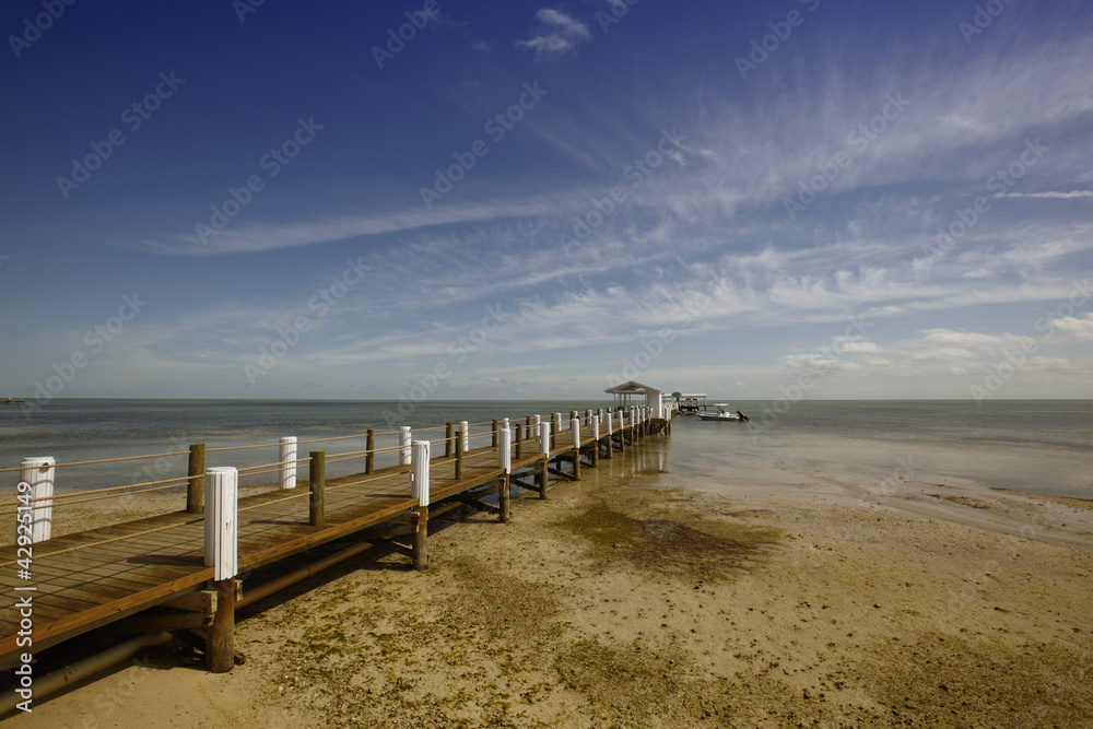 Jetty on the beach