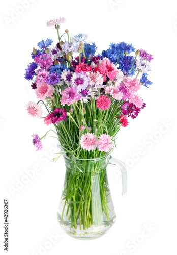 Bouquet of many beautiful multi-colored cornflowers flowers  in
