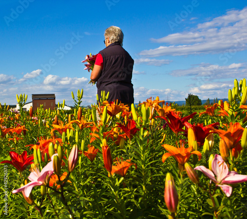 flower picking