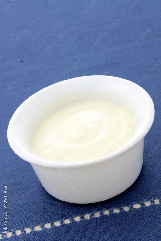 delicious fresh yogurt delicious fresh yogurt
