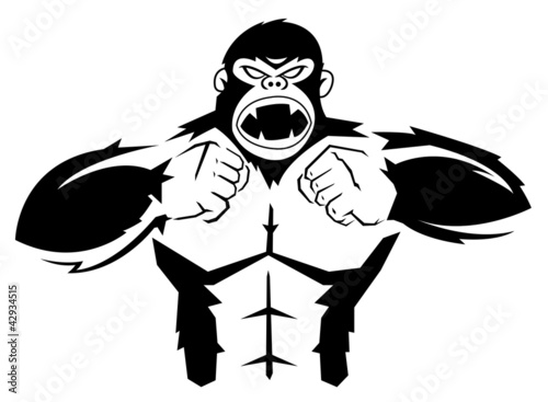 Gorilla