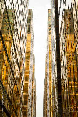 Photography golden hallway