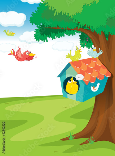 bird house on tree
