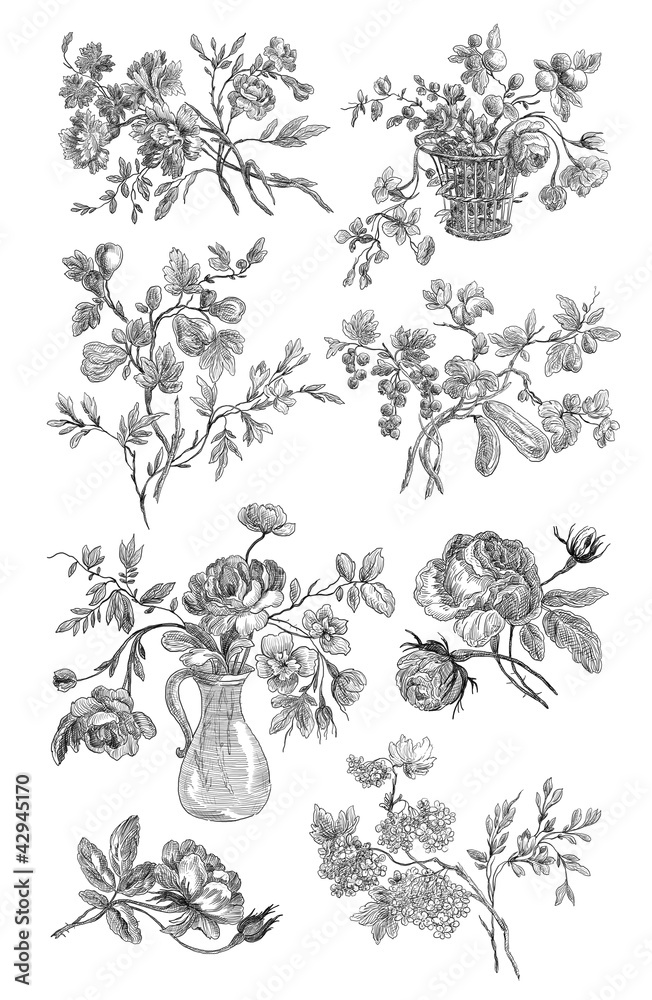 Plakat Old roses illustration