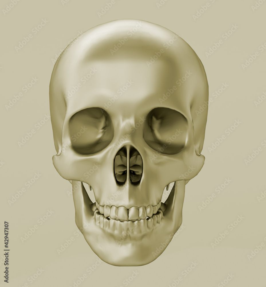 Fototapeta premium Czaszka, renderowanie 3d