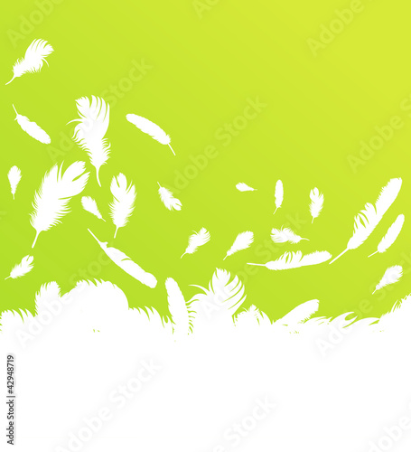 Feather vector background