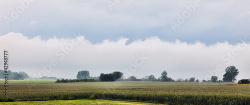 Grain Field on Funen, Denmark