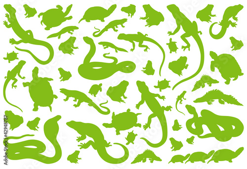 Amphibian reptile environmental vector