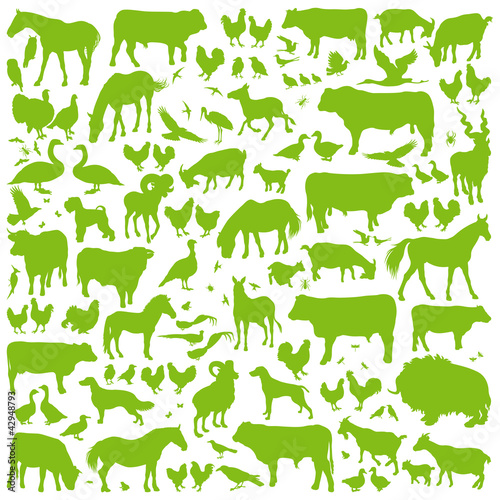 Farm animals detailed silhouettes background vector