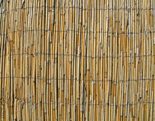 abstract yellow bamboo wall  construction details