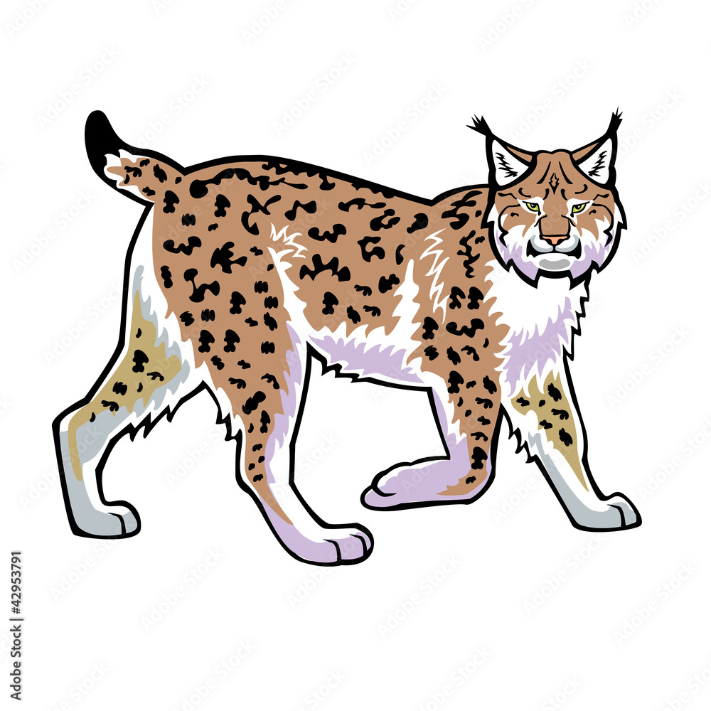 Naklejka premium lynx vector isolated on white