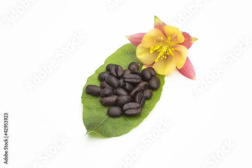 Fototapeta Naklejka Na Ścianę i Meble -  Coffee beans on a leaf with yellow and pink flower
