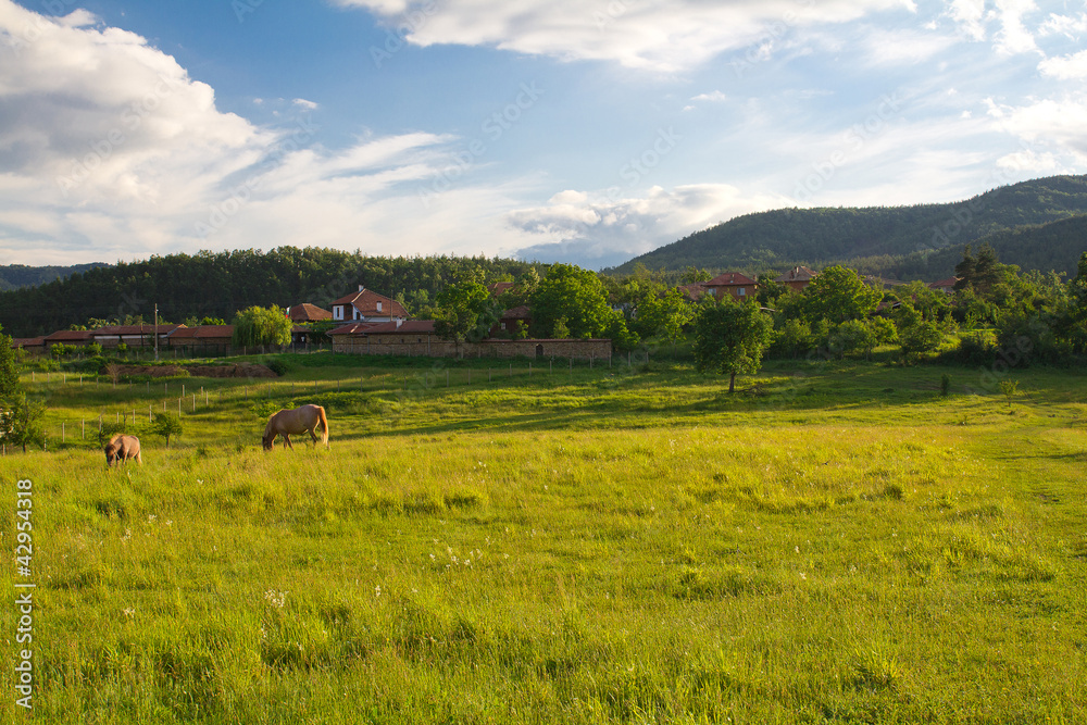 Bulgarian village