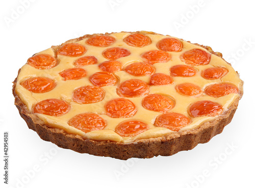 apricort tart isolated on white side view