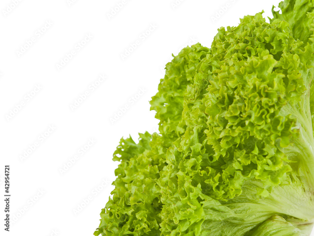 Obraz premium Salad leaves
