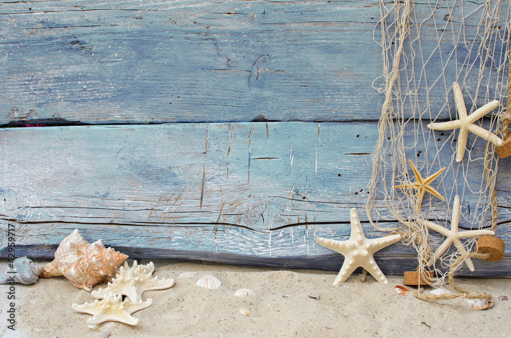 Sealife background in blue StockFoto Adobe