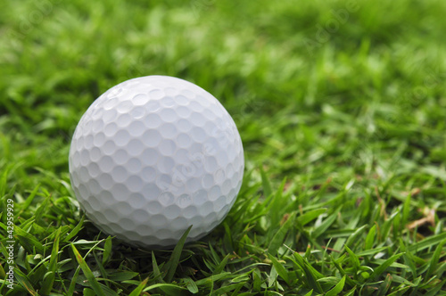 golf ball and grass