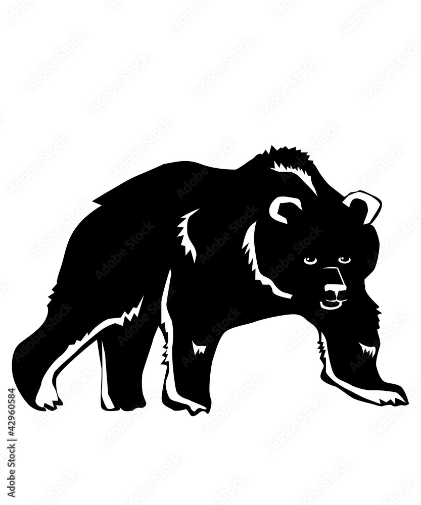 Obraz premium Bear on a white background