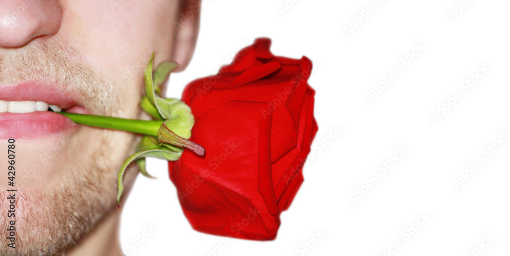 Fototapeta premium valentine gift