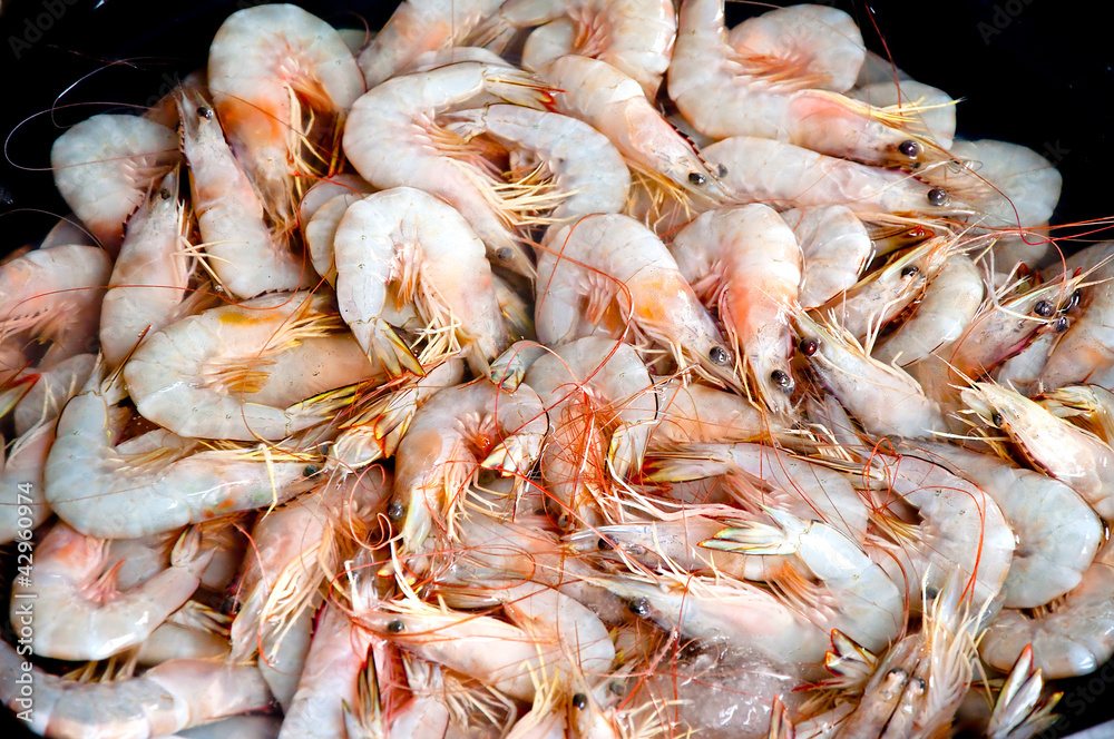 The Raw of shrimps